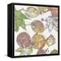 Multi Colored Nature II-Danielle Carson-Framed Stretched Canvas