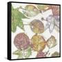 Multi Colored Nature II-Danielle Carson-Framed Stretched Canvas