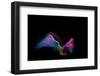 Multi-Colored Sand Against Black Background-Antonioiacobelli-Framed Photographic Print