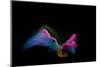 Multi-Colored Sand Against Black Background-Antonioiacobelli-Mounted Photographic Print