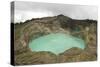 Multi-Coloured Crater Lakes at Summit of Kelimutu Volcano-Tony Waltham-Stretched Canvas