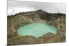 Multi-Coloured Crater Lakes at Summit of Kelimutu Volcano-Tony Waltham-Mounted Photographic Print