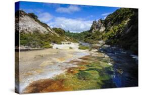 Multi Coloured Geothermal River in the Waimangu Volcanic Valley, North Island, New Zealand, Pacific-Michael Runkel-Stretched Canvas