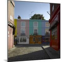 Multi Coloured Houses, Portobello Road, London-Richard Bryant-Mounted Photographic Print