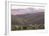 Multi Coloured Mountains and Alpacas, Humahuaca, Province of Jujuy, Argentina-Peter Groenendijk-Framed Photographic Print