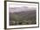 Multi Coloured Mountains and Alpacas, Humahuaca, Province of Jujuy, Argentina-Peter Groenendijk-Framed Photographic Print