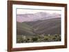 Multi Coloured Mountains and Alpacas, Humahuaca, Province of Jujuy, Argentina-Peter Groenendijk-Framed Photographic Print
