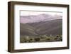 Multi Coloured Mountains and Alpacas, Humahuaca, Province of Jujuy, Argentina-Peter Groenendijk-Framed Photographic Print