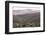 Multi Coloured Mountains and Alpacas, Humahuaca, Province of Jujuy, Argentina-Peter Groenendijk-Framed Photographic Print