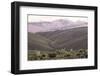 Multi Coloured Mountains and Alpacas, Humahuaca, Province of Jujuy, Argentina-Peter Groenendijk-Framed Photographic Print