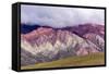 Multi Coloured Mountains, Humahuaca, Province of Jujuy, Argentina-Peter Groenendijk-Framed Stretched Canvas