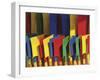 Multi Coloured Spades on Sale at a Beach Shop on the Planche, Deauville, Calvados, Normandy, France-David Hughes-Framed Photographic Print