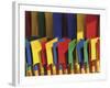 Multi Coloured Spades on Sale at a Beach Shop on the Planche, Deauville, Calvados, Normandy, France-David Hughes-Framed Photographic Print