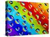 Multi-Coloured-Adrian Campfield-Stretched Canvas