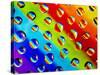 Multi-Coloured-Adrian Campfield-Stretched Canvas