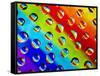 Multi-Coloured-Adrian Campfield-Framed Stretched Canvas