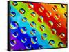 Multi-Coloured-Adrian Campfield-Framed Stretched Canvas
