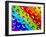 Multi-Coloured-Adrian Campfield-Framed Photographic Print