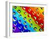 Multi-Coloured-Adrian Campfield-Framed Photographic Print