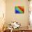 Multi-Coloured-Adrian Campfield-Photographic Print displayed on a wall