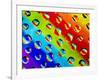 Multi-Coloured-Adrian Campfield-Framed Photographic Print