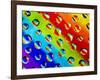 Multi-Coloured-Adrian Campfield-Framed Photographic Print