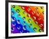 Multi-Coloured-Adrian Campfield-Framed Photographic Print