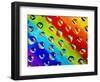 Multi-Coloured-Adrian Campfield-Framed Photographic Print