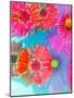 Multicolor Blossom Design from Zinnia, Gerber Daisy and Texture, Photographic Layer Work-Alaya Gadeh-Mounted Photographic Print