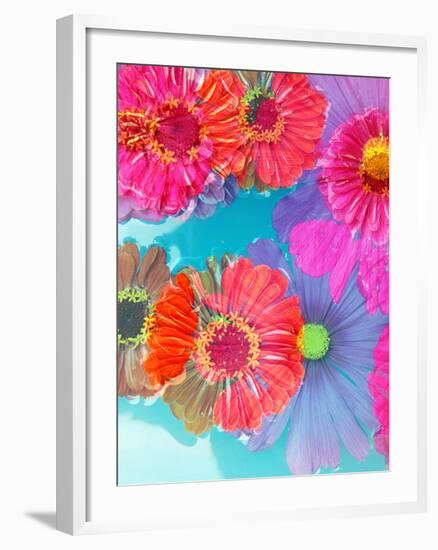 Multicolor Blossom Design from Zinnia, Gerber Daisy and Texture, Photographic Layer Work-Alaya Gadeh-Framed Photographic Print