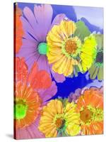 Multicolor Blossom Design from Zinnia, Gerber Daisy and Texture, Photographic Layer Work-Alaya Gadeh-Stretched Canvas