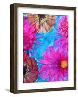 Multicolor Blossom Design from Zinnia, Gerber Daisy and Texture, Photographic Layer Work-Alaya Gadeh-Framed Photographic Print