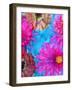 Multicolor Blossom Design from Zinnia, Gerber Daisy and Texture, Photographic Layer Work-Alaya Gadeh-Framed Photographic Print