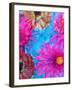 Multicolor Blossom Design from Zinnia, Gerber Daisy and Texture, Photographic Layer Work-Alaya Gadeh-Framed Photographic Print