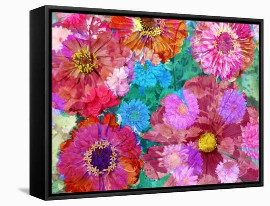 Multicolor Blossom Design from Zinnia, Gerber Daisy and Texture, Photographic Layer Work-Alaya Gadeh-Framed Stretched Canvas