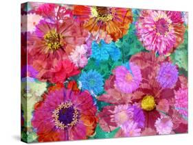 Multicolor Blossom Design from Zinnia, Gerber Daisy and Texture, Photographic Layer Work-Alaya Gadeh-Stretched Canvas