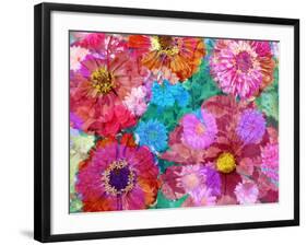 Multicolor Blossom Design from Zinnia, Gerber Daisy and Texture, Photographic Layer Work-Alaya Gadeh-Framed Photographic Print