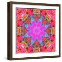 Multicolor Blossom Design from Zinnia, Gerber Daisy and Texture, Photographic Layer Work-Alaya Gadeh-Framed Photographic Print