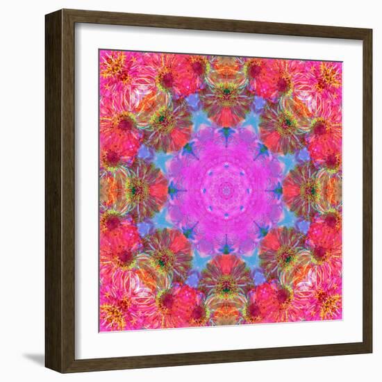 Multicolor Blossom Design from Zinnia, Gerber Daisy and Texture, Photographic Layer Work-Alaya Gadeh-Framed Photographic Print