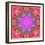 Multicolor Blossom Design from Zinnia, Gerber Daisy and Texture, Photographic Layer Work-Alaya Gadeh-Framed Photographic Print