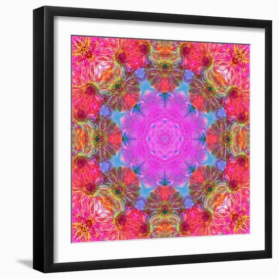 Multicolor Blossom Design from Zinnia, Gerber Daisy and Texture, Photographic Layer Work-Alaya Gadeh-Framed Photographic Print