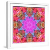 Multicolor Blossom Design from Zinnia, Gerber Daisy and Texture, Photographic Layer Work-Alaya Gadeh-Framed Photographic Print