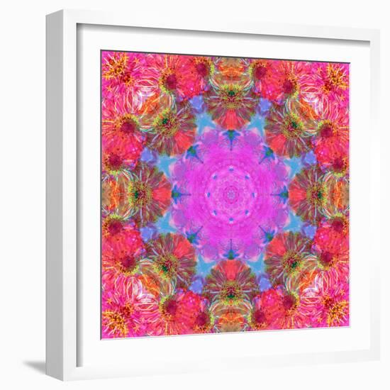 Multicolor Blossom Design from Zinnia, Gerber Daisy and Texture, Photographic Layer Work-Alaya Gadeh-Framed Photographic Print