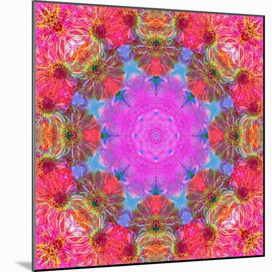 Multicolor Blossom Design from Zinnia, Gerber Daisy and Texture, Photographic Layer Work-Alaya Gadeh-Mounted Photographic Print