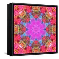 Multicolor Blossom Design from Zinnia, Gerber Daisy and Texture, Photographic Layer Work-Alaya Gadeh-Framed Stretched Canvas