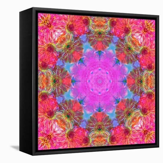 Multicolor Blossom Design from Zinnia, Gerber Daisy and Texture, Photographic Layer Work-Alaya Gadeh-Framed Stretched Canvas