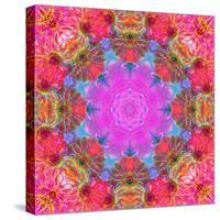 Multicolor Blossom Design from Zinnia, Gerber Daisy and Texture, Photographic Layer Work-Alaya Gadeh-Stretched Canvas