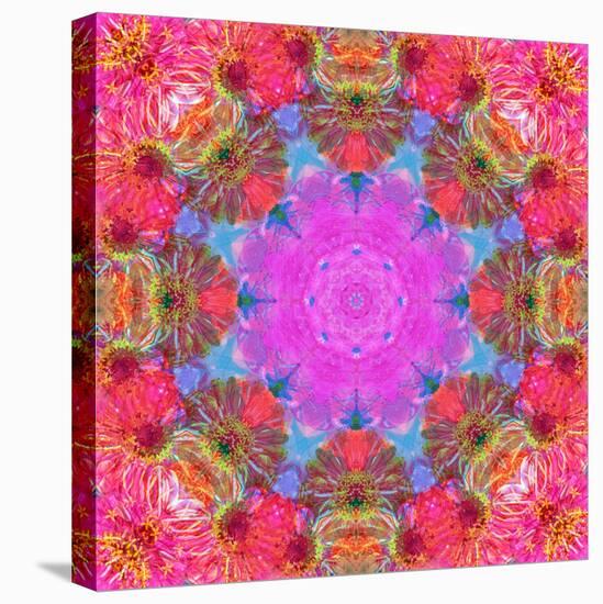 Multicolor Blossom Design from Zinnia, Gerber Daisy and Texture, Photographic Layer Work-Alaya Gadeh-Stretched Canvas
