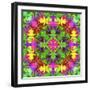 Multicolor Blossom Design from Zinnia, Gerber Daisy and Texture, Symmetric Photographic Layer Work-Alaya Gadeh-Framed Photographic Print