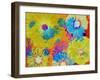 Multicolor Blossom Design, Photographic Layer Work-Alaya Gadeh-Framed Photographic Print